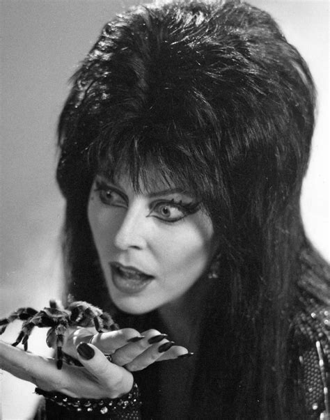 elvira nudes|Elvira, Mistress Of The Dark: 30 Stunning Photos of Cassandra。